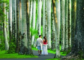 mauricius-hotel-four-seasons-resort-mauritius-173_ext_w_1.jpg