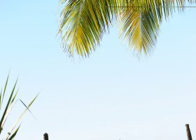 mauricius-hotel-le-sakoa-004_ext_w_2.jpg