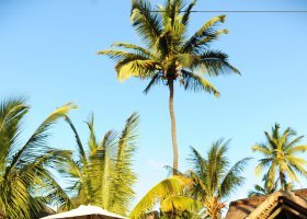 mauricius-hotel-le-sakoa-007_ext_w_2.jpg