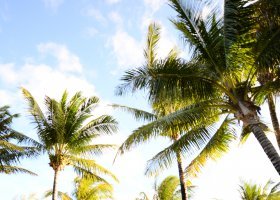 mauricius-hotel-veranda-palmar-beach-037_ext_w_2.jpg