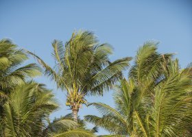 mauricius-hotel-veranda-palmar-beach-043_ext_w_2.jpg