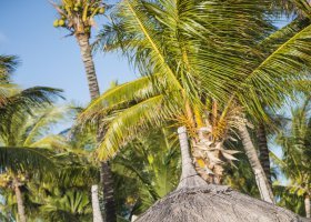 mauricius-hotel-veranda-palmar-beach-044_ext_w_2.jpg
