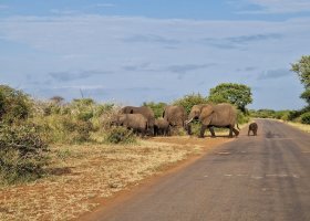 ondrej-svetlik-049.jpg